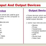 Computer Input Device and Output Devices